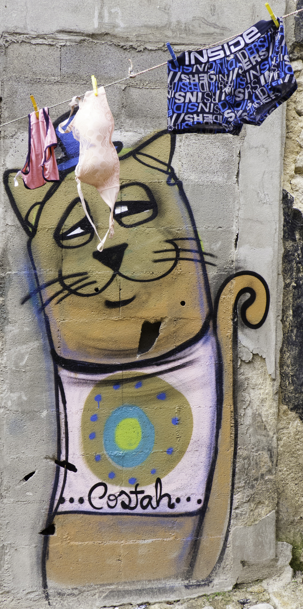 Photo of a street art cat looking at laundry