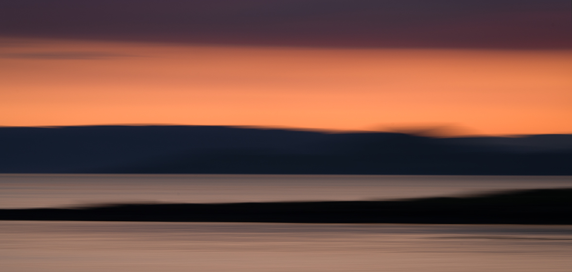 Photo of a dog looking at a ceramic dog in a park
