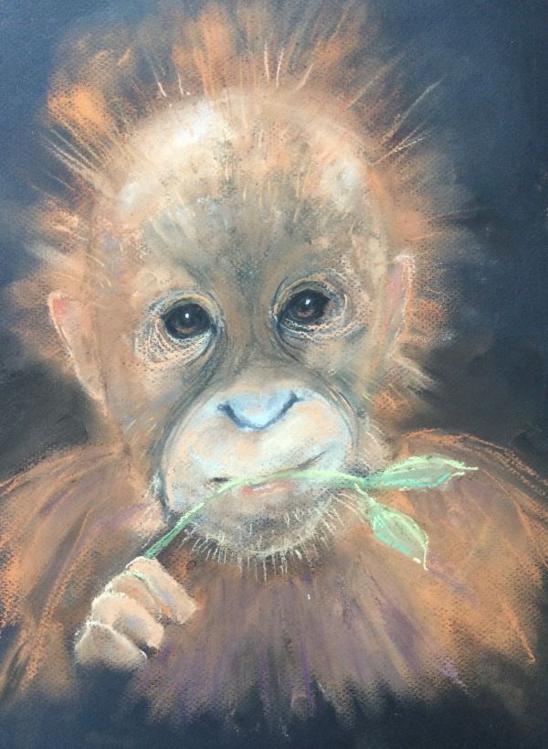 'Orangutan' by Lindsey Bond, Cardiff u3a