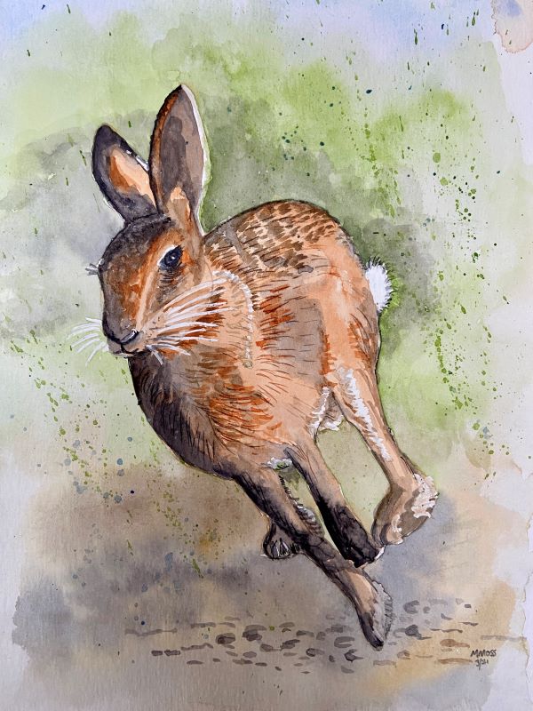 'Bright eyed and bushy tail' by Mary Moss, Meopham u3a