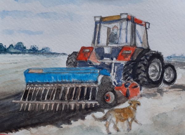 'Seed drilling near Ormskirk' by Anne Pearson, Hale & District u3a