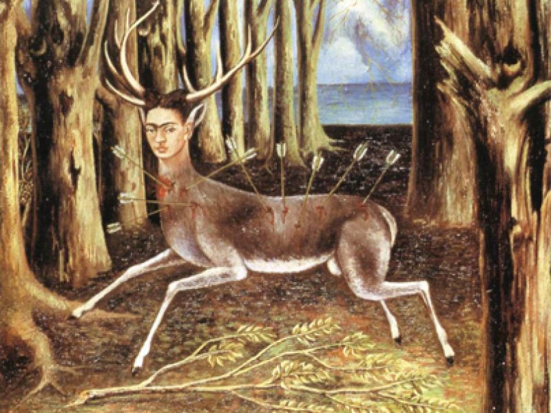 The wounded deer, Frida Kahlo