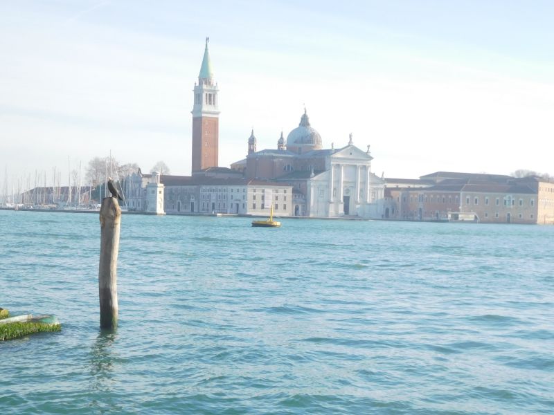 Venice water picture